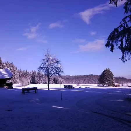 Ferien Bei Fechtig Appartement Schluchsee